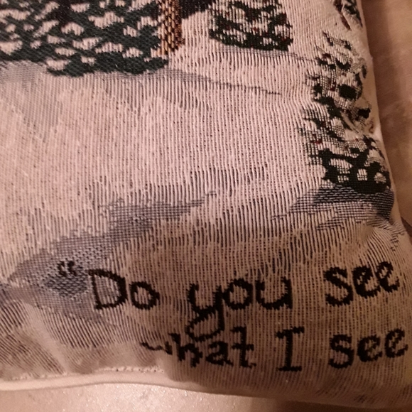 Pillows - Picture 3 of 6